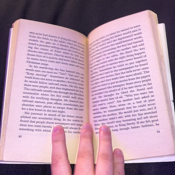 Sounder Chapter Book - Picture 3 of 4